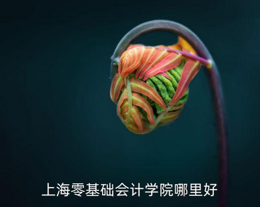 上海會計學院，上海零基礎會計學院哪里好