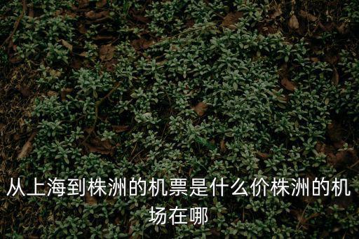 從上海到株洲的機票是什么價株洲的機場在哪