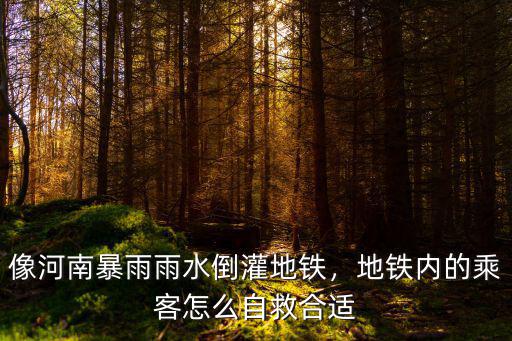 像河南暴雨雨水倒灌地鐵，地鐵內(nèi)的乘客怎么自救合適
