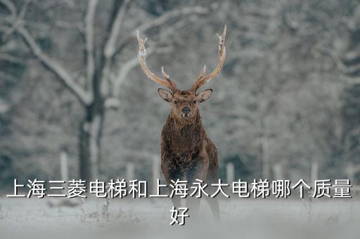 上海三菱電梯和上海永大電梯哪個質量好