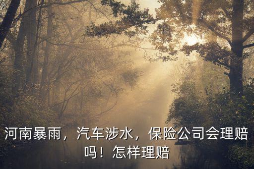河南水淹車輛保險公司怎么處理,被泡過的車該怎么處理呢