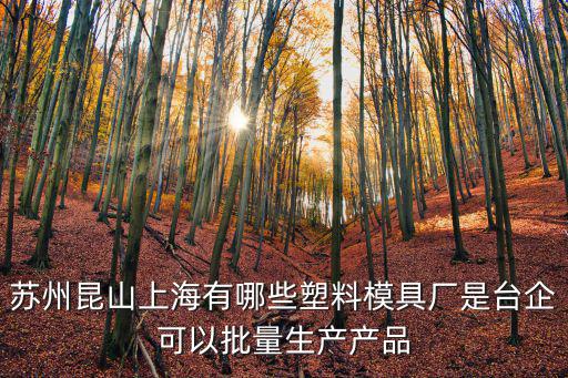 蘇州昆山上海有哪些塑料模具廠是臺企可以批量生產產品