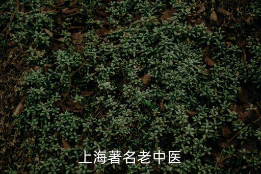 上海名老中醫，上海著名老中醫