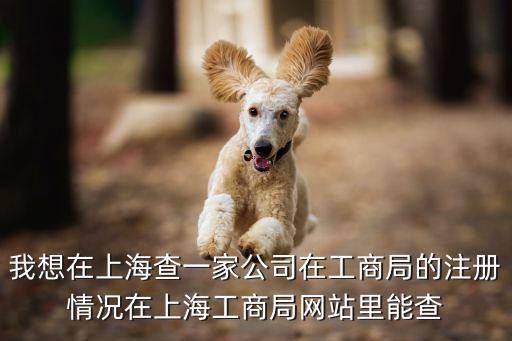 我想在上海查一家公司在工商局的注冊情況在上海工商局網站里能查