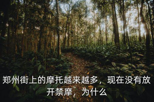 鄭州街上的摩托越來越多，現在沒有放開禁摩，為什么
