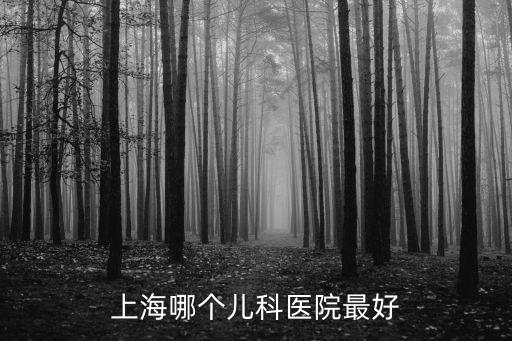 上海哪個兒科醫院最好