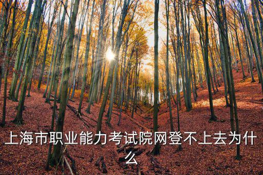上海市職業能力考試院網登不上去為什么