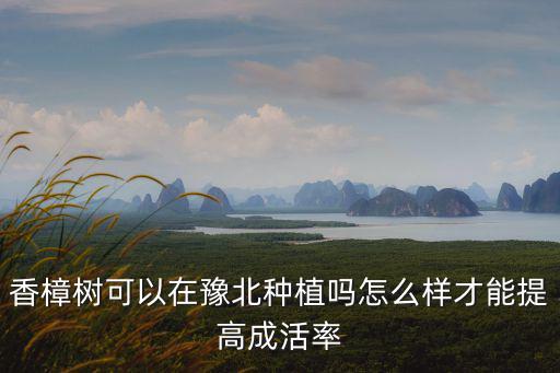 香樟樹可以在豫北種植嗎怎么樣才能提高成活率