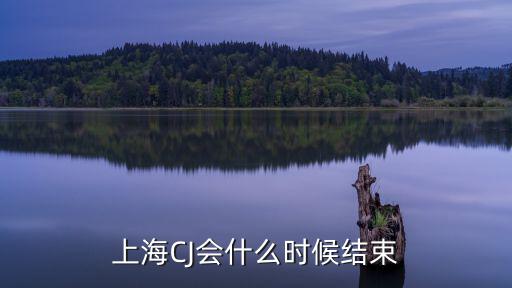 上海CJ會什么時候結束