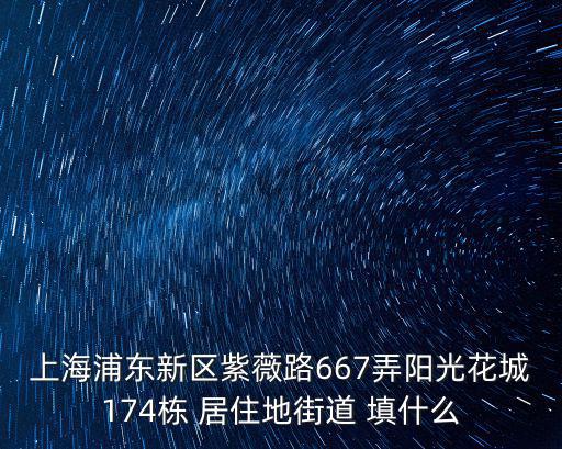 上海浦東新區(qū)紫薇路667弄陽光花城174棟 居住地街道 填什么