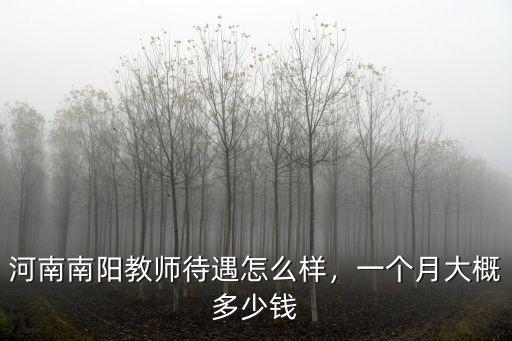 河南南陽教師待遇怎么樣，一個月大概多少錢