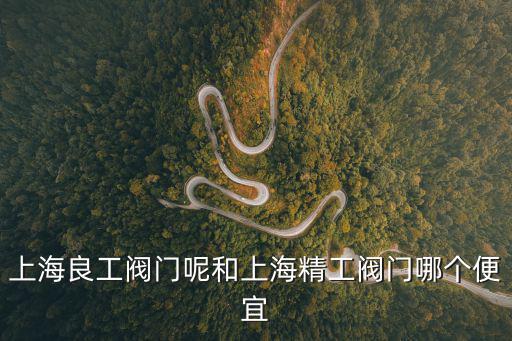 上海良工閥門呢和上海精工閥門哪個便宜