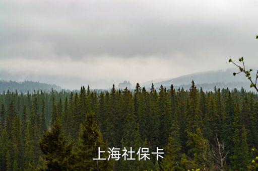 上海社保卡
