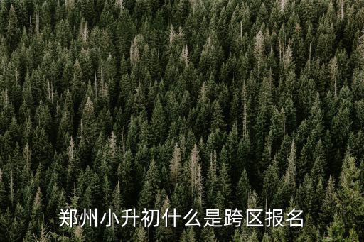 鄭州小升初網上怎么報名,鄭州小升初什么是跨區報名