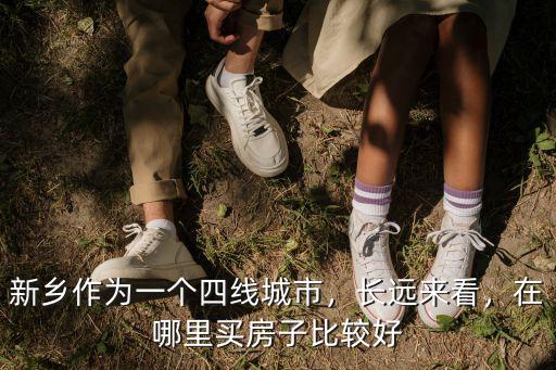 新鄉作為一個四線城市，長遠來看，在哪里買房子比較好