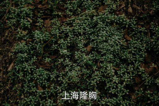 上海隆胸
