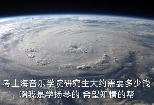 考上海音樂學院研究生大約需要多少錢啊我是學揚琴的 希望知情的幫
