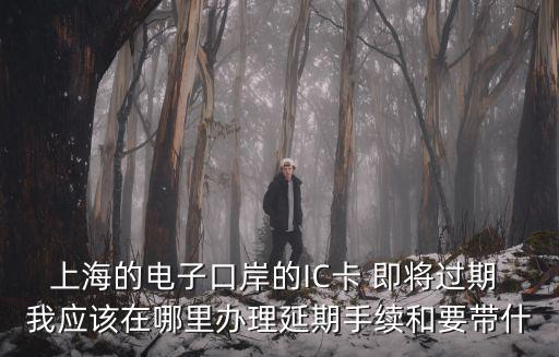 上海的電子口岸的IC卡 即將過期 我應該在哪里辦理延期手續和要帶什