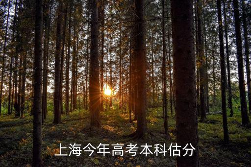 直擊上海高考，上海高考文科志愿