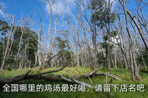 全國哪里的雞湯最好喝，請留下店名吧