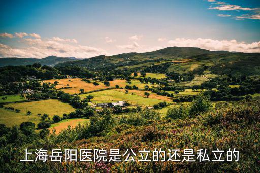 上海中醫藥大學附屬岳陽醫院，上海岳陽醫院是公立的還是私立的