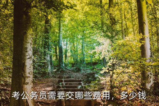 河南公務員報考多少錢,河南省公務員考試好考嗎
