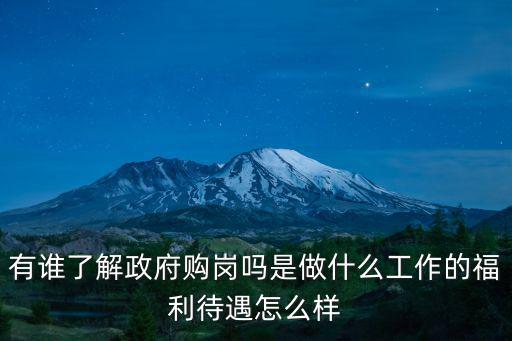 商丘政府購崗怎么樣,有誰了解政府購崗嗎