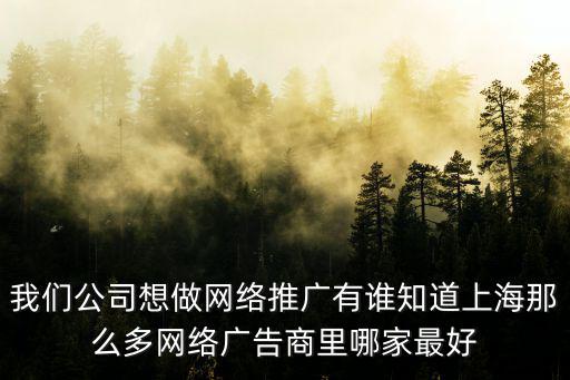 我們公司想做網(wǎng)絡(luò)推廣有誰(shuí)知道上海那么多網(wǎng)絡(luò)廣告商里哪家最好