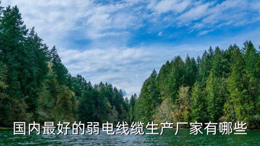 國內最好的弱電線纜生產廠家有哪些