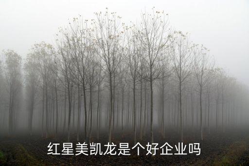 紅星美凱龍是個好企業(yè)嗎