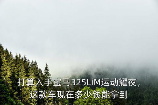 許昌寶馬325li多少錢,寶馬325Li首發(fā)版怎么樣