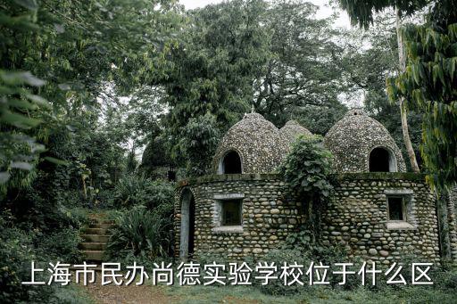 上海市民辦尚德實驗學校位于什么區
