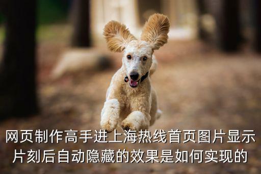 網(wǎng)頁制作高手進(jìn)上海熱線首頁圖片顯示片刻后自動隱藏的效果是如何實(shí)現(xiàn)的