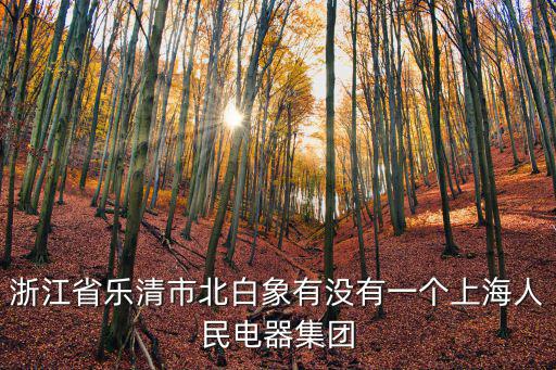 浙江省樂清市北白象有沒有一個(gè)上海人民電器集團(tuán)