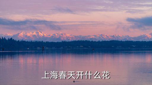 上海春天開什么花