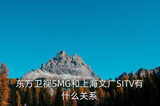 東方衛視SMG和上海文廣SITV有什么關系