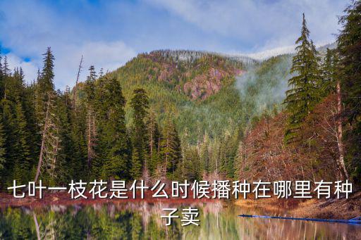 七葉一枝花是什么時候播種在哪里有種子賣