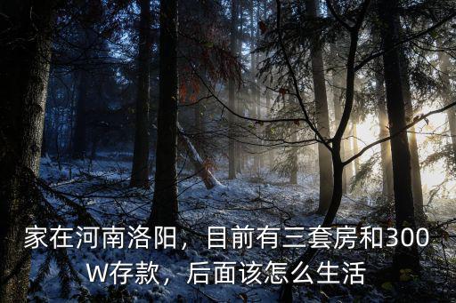 家在河南洛陽，目前有三套房和300W存款，后面該怎么生活