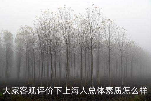 大家客觀評價下上海人總體素質怎么樣