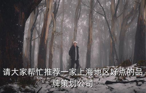 上海品牌策劃，品牌策劃公司求上海地區專業的品牌策劃公司