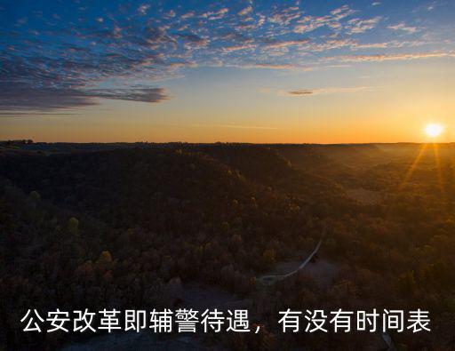 河南公安改革輔警怎么改,公安改革即輔警待遇