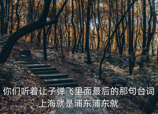 你們聽著讓子彈飛里面最后的那句臺詞上海就是浦東浦東就