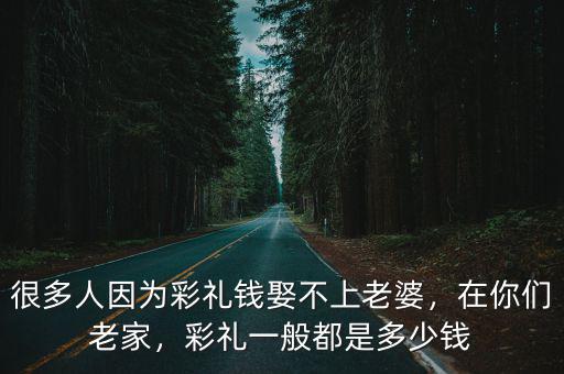 河南新蔡結婚彩禮多少,現(xiàn)在河南農(nóng)村結婚彩禮重