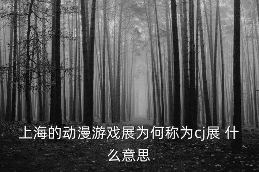 上海的動漫游戲展為何稱為cj展 什么意思