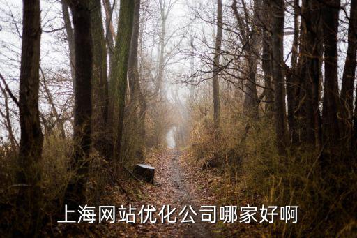 上海網站優化公司哪家好啊