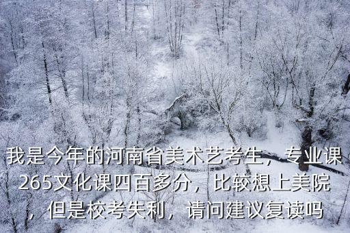 河南美術(shù)校考220文化課多少,河南2021屆美術(shù)生