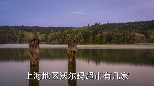 上海地區沃爾瑪超市有幾家