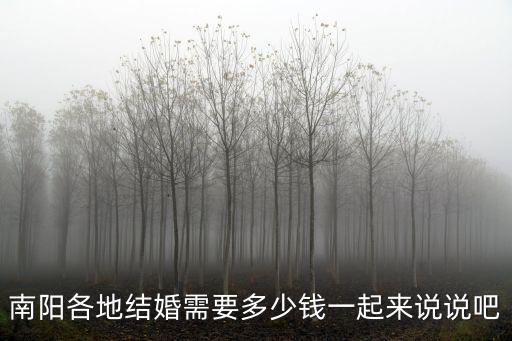 南陽各地結婚需要多少錢一起來說說吧