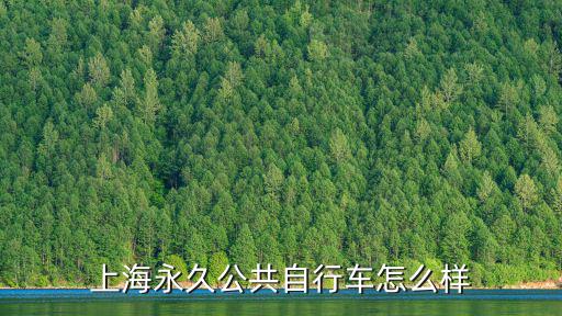 上海永久公共自行車怎么樣