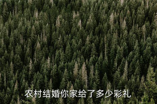 農村結婚你家給了多少彩禮